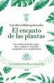 encanto-plantas