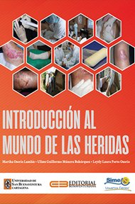 introduccion-al-mundo-de-las-heridas