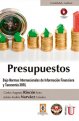 presupuestos-normas-internacionales-informacion-financiera